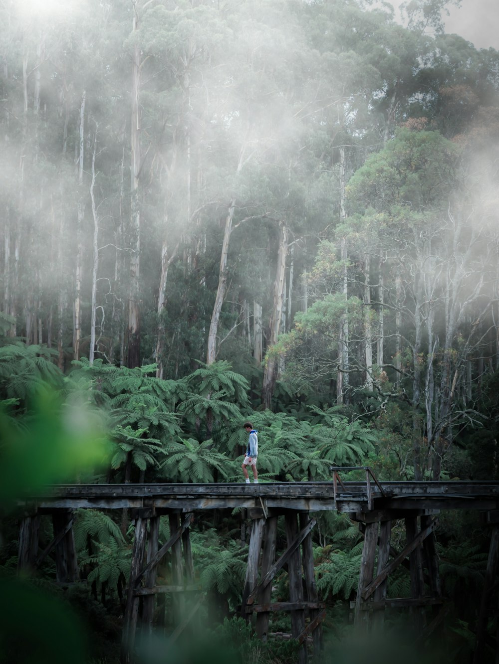 people walking on wooden bridge over green trees during daytime