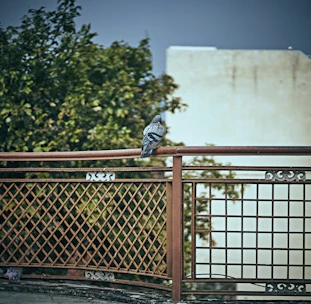 Close-up of a sturdy pigeon net securely installed on a balcony railing.