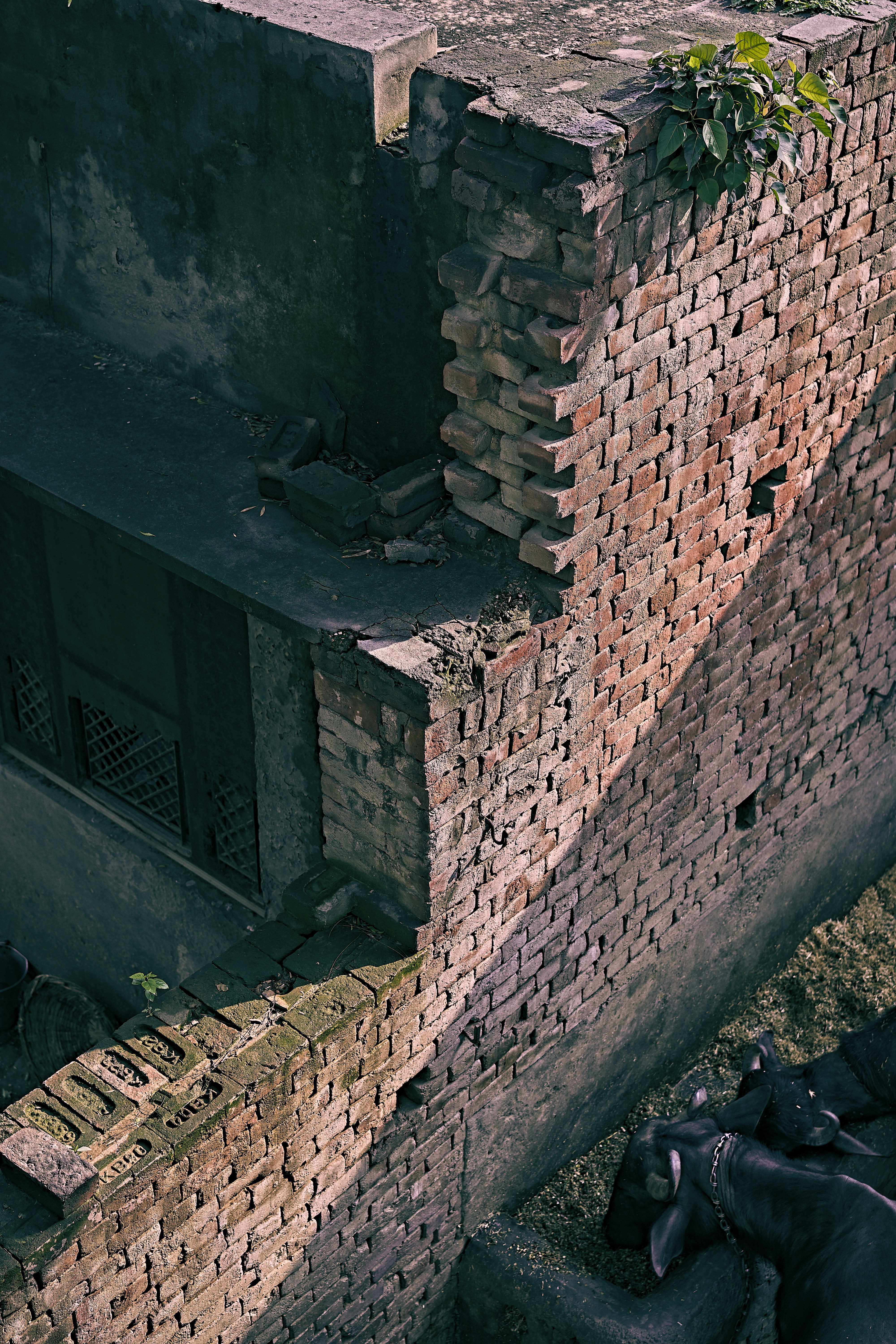 Photo by suicide_chewbacca