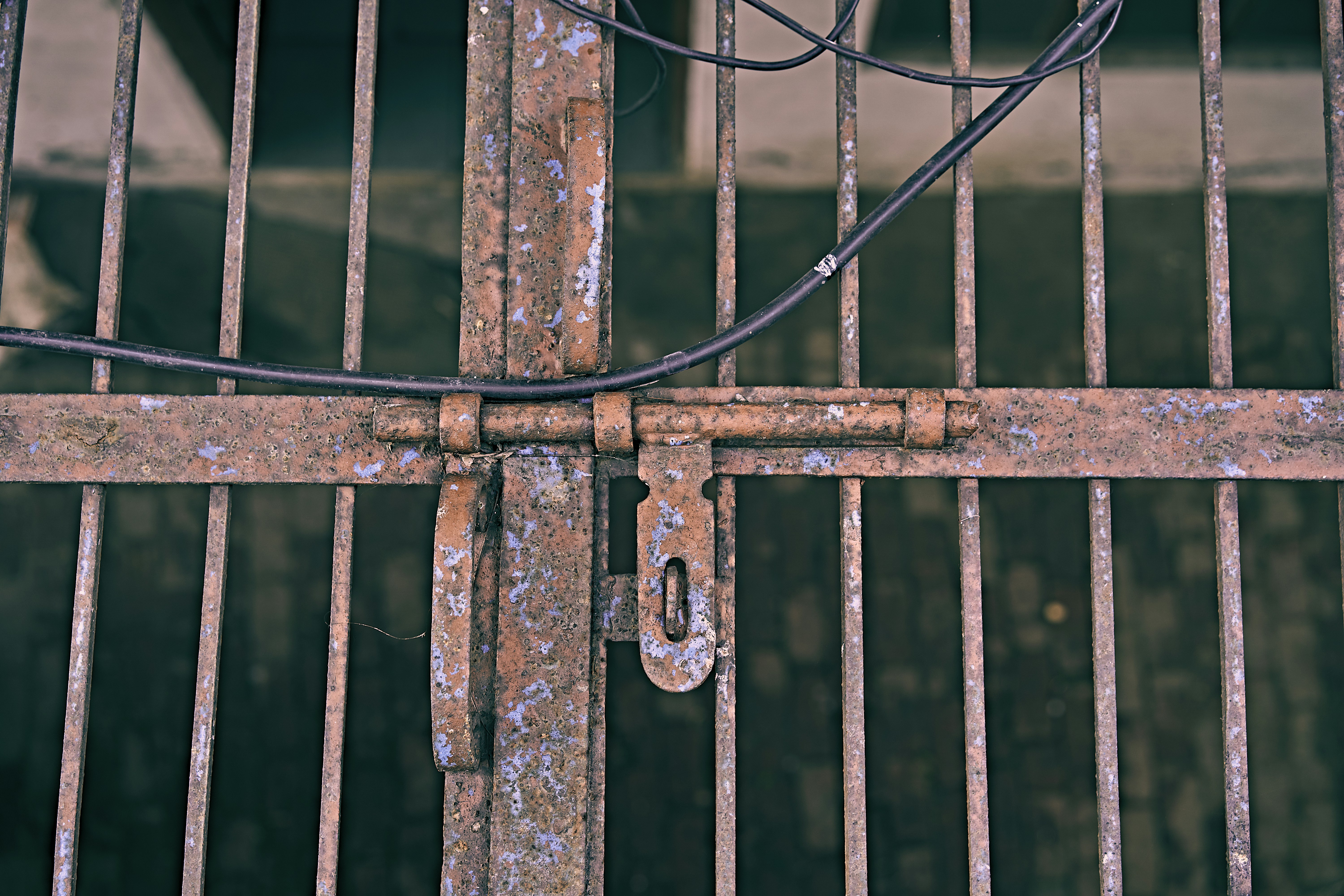 Photo by suicide_chewbacca