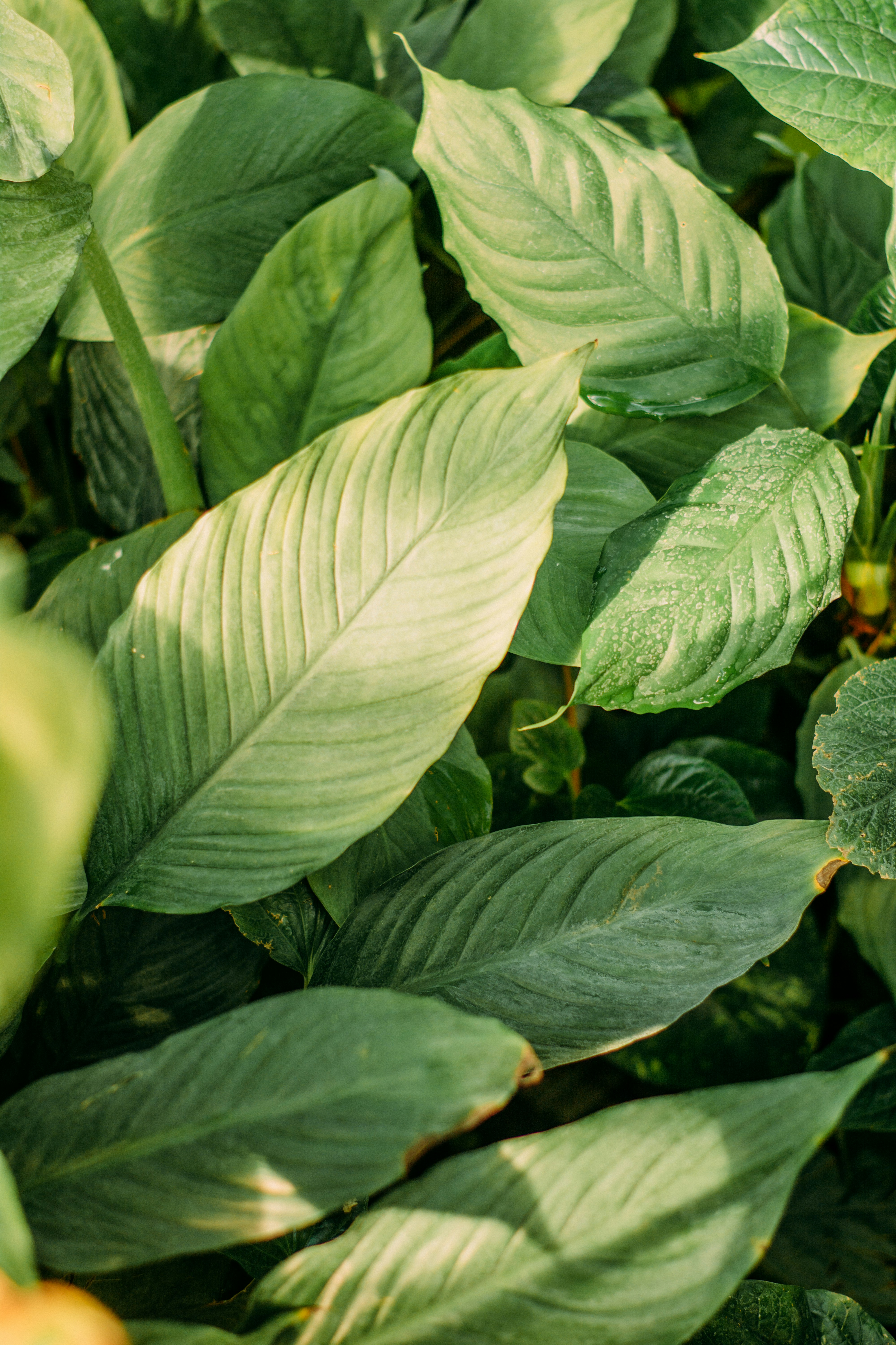 Photo by eugenivy_now