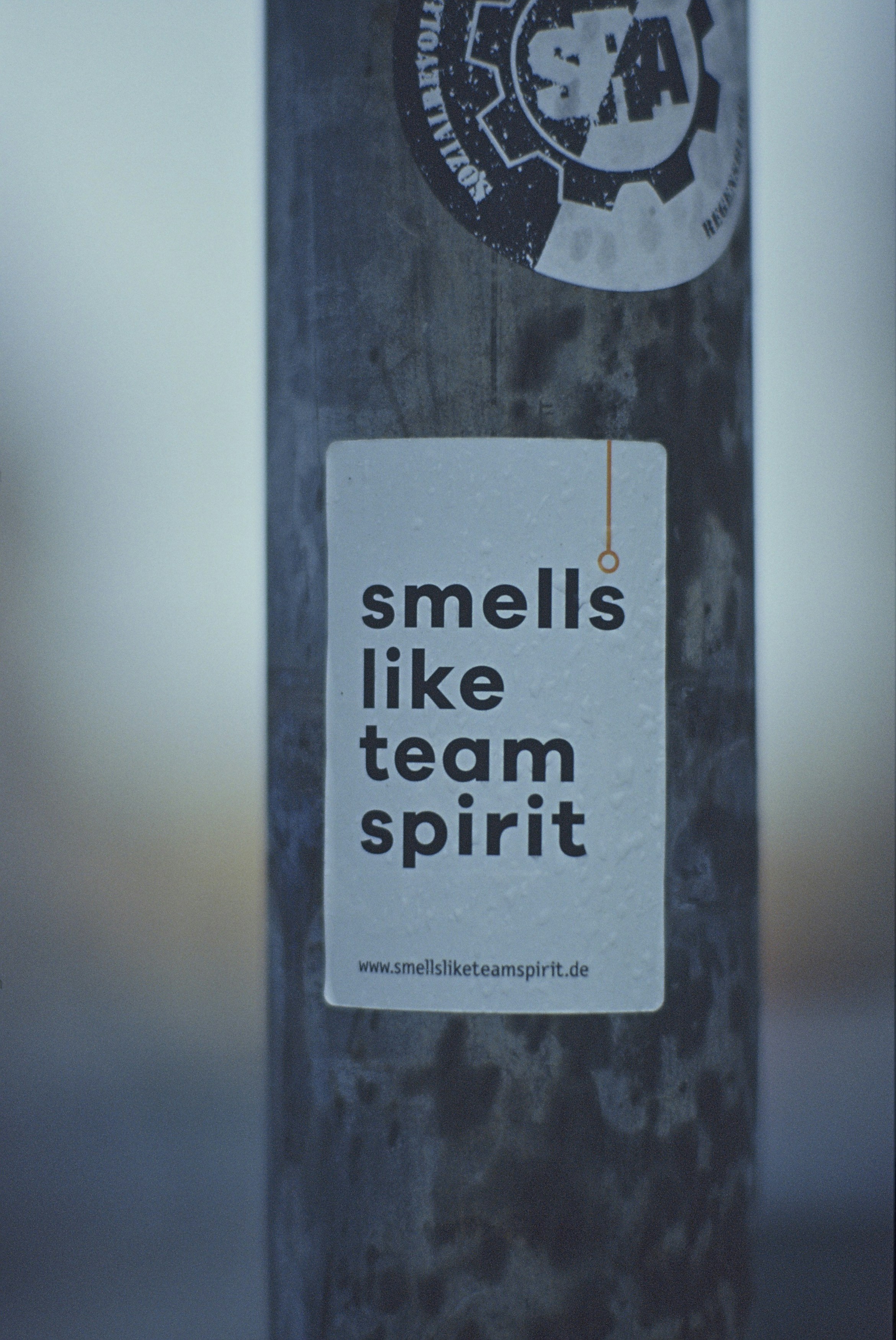 The Psychology of Scent Marketing: Your Startup's Secret Growth Weapon