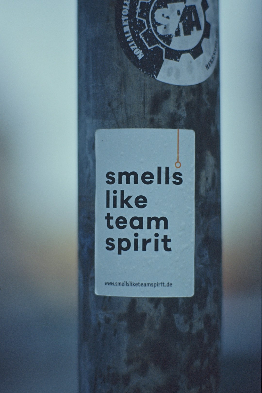 Urban Street Art – Sticker: "smells like team spirit" Made with Leica R7 (Year: 1994) and Leica Summicron-R 2.0 90mm (Year: 1981). Analog scan via nimmfilm.de: Fuji Frontier SP-3000. Film reel: Agfachrome CTX 100 E6 (expired 2003)
