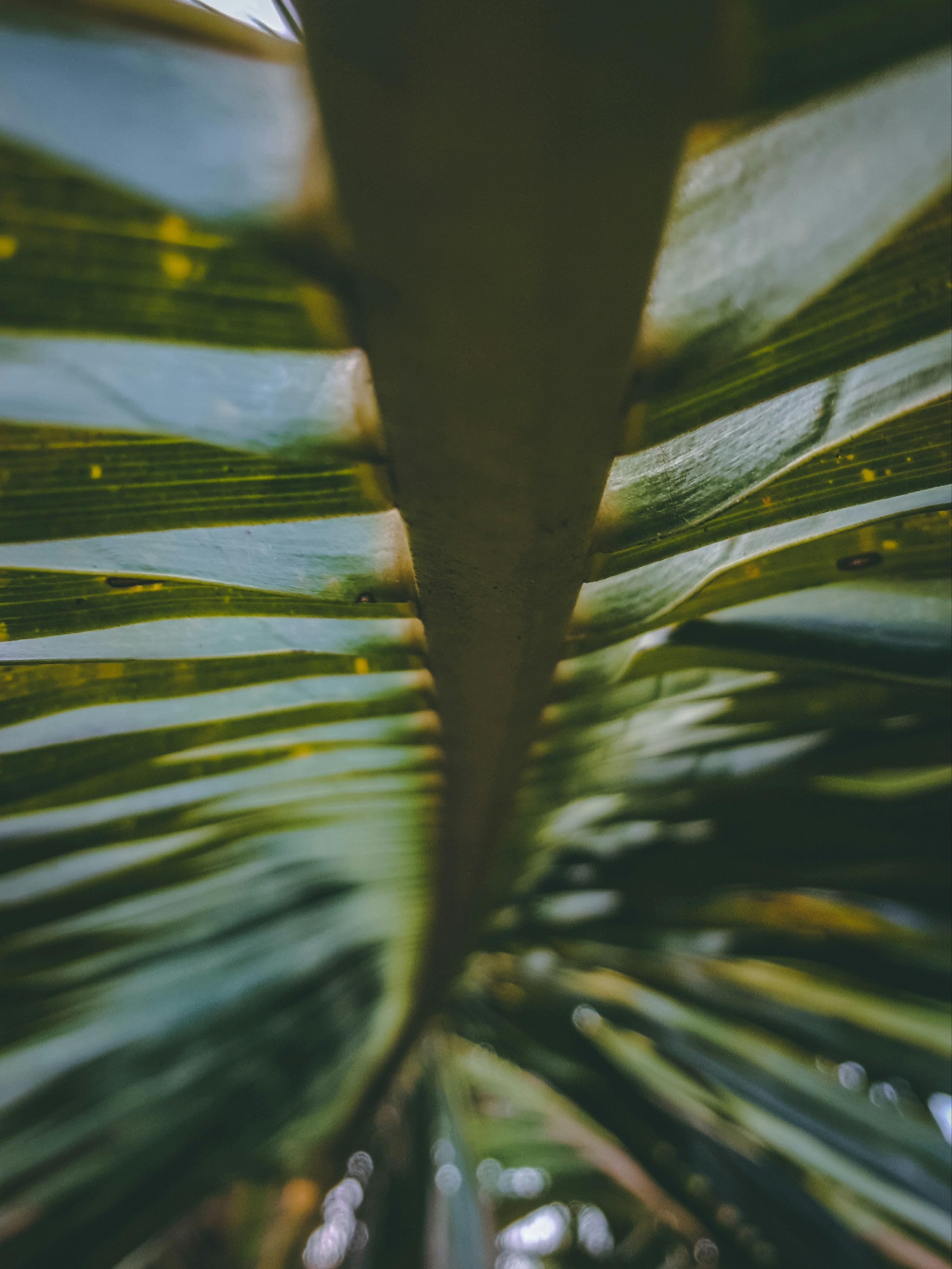 dharaneeswaran-r-dharan24-unsplash-photo-community
