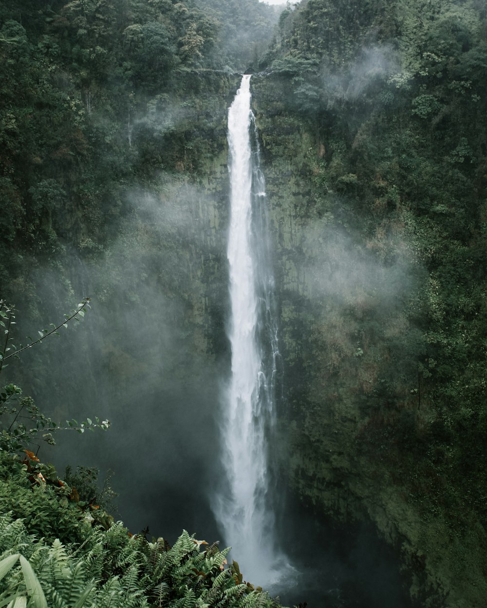 waterfalls in the middle of forest