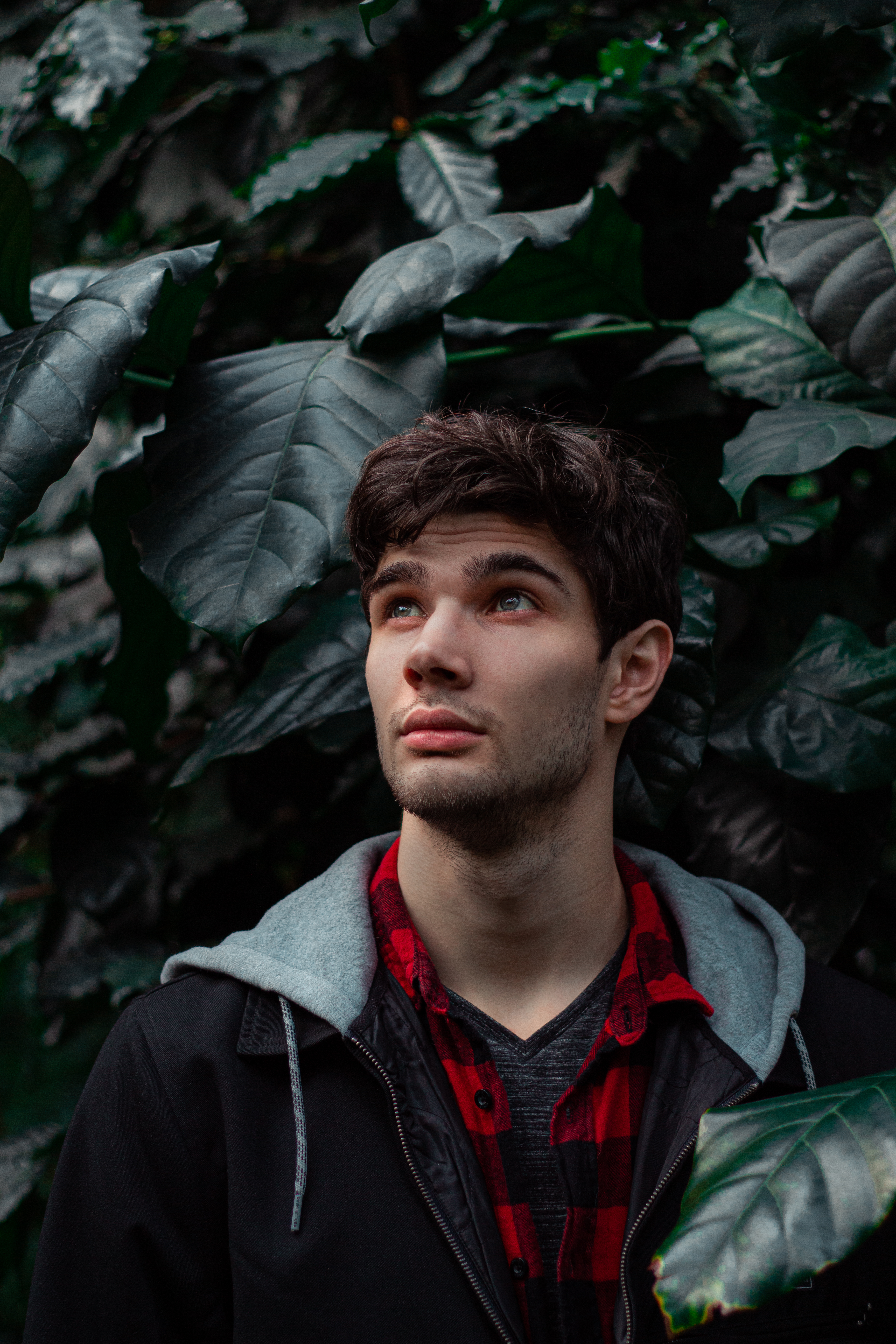 a man standing in front of a green plant