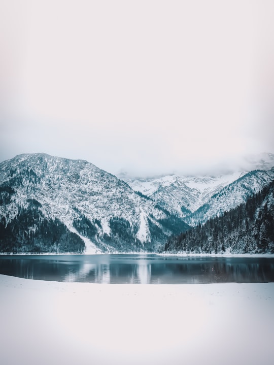 snow covered mountain near lake in Plansee Lake Austria