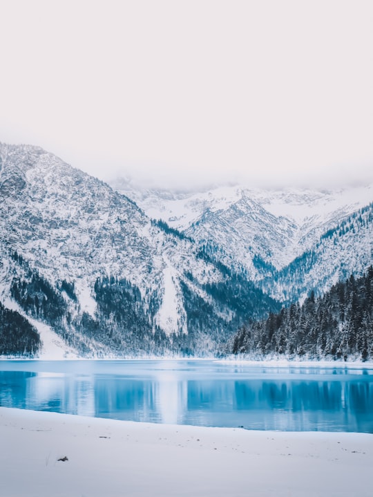 lake near snow covered mountain during daytime in Plansee Lake Austria