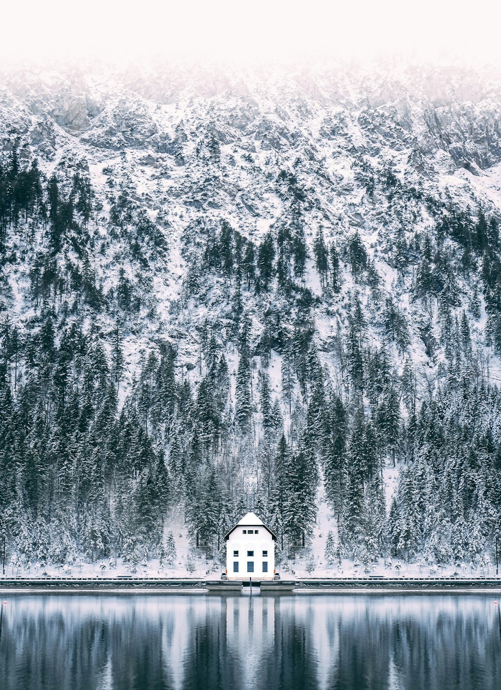 white and black house near trees covered with snow