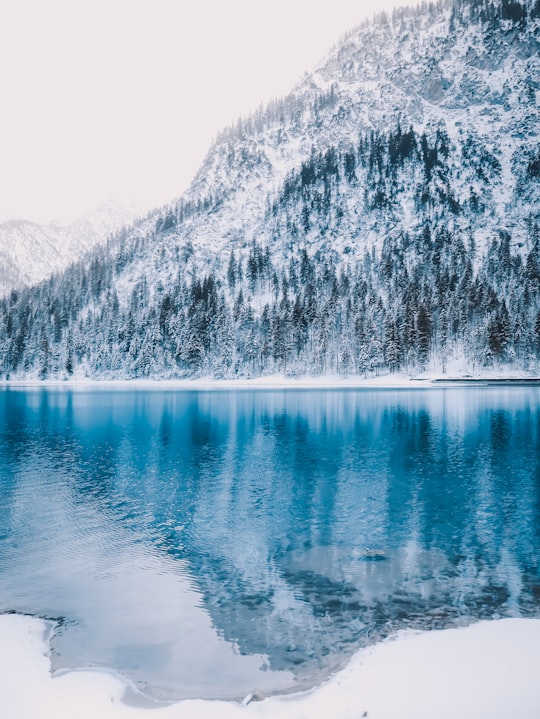 body of water near mountain during daytime in Plansee Austria