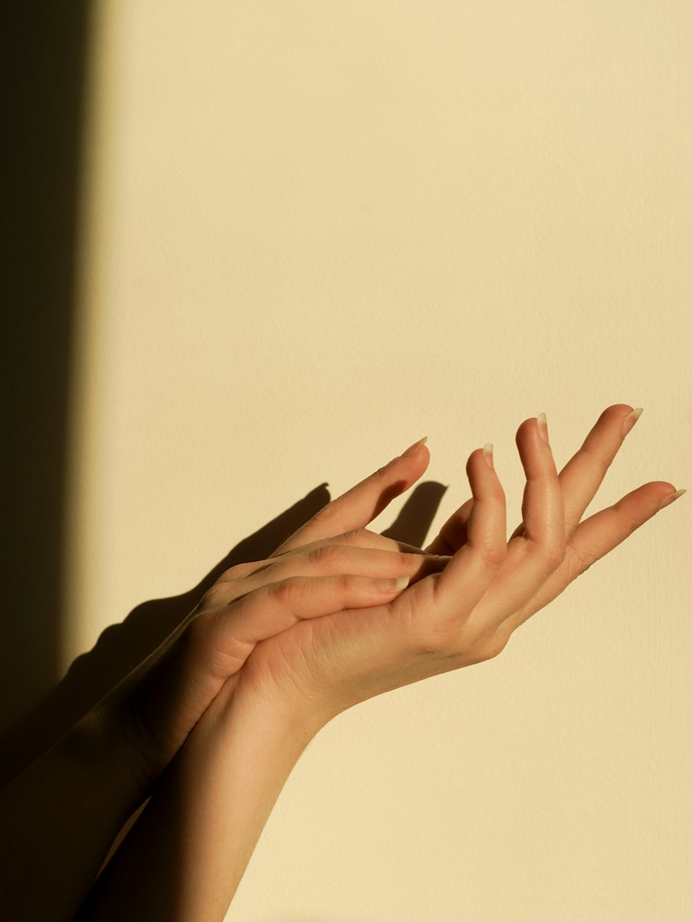 persons hand on white surface