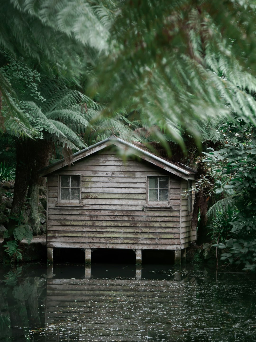 brown wooden house on water