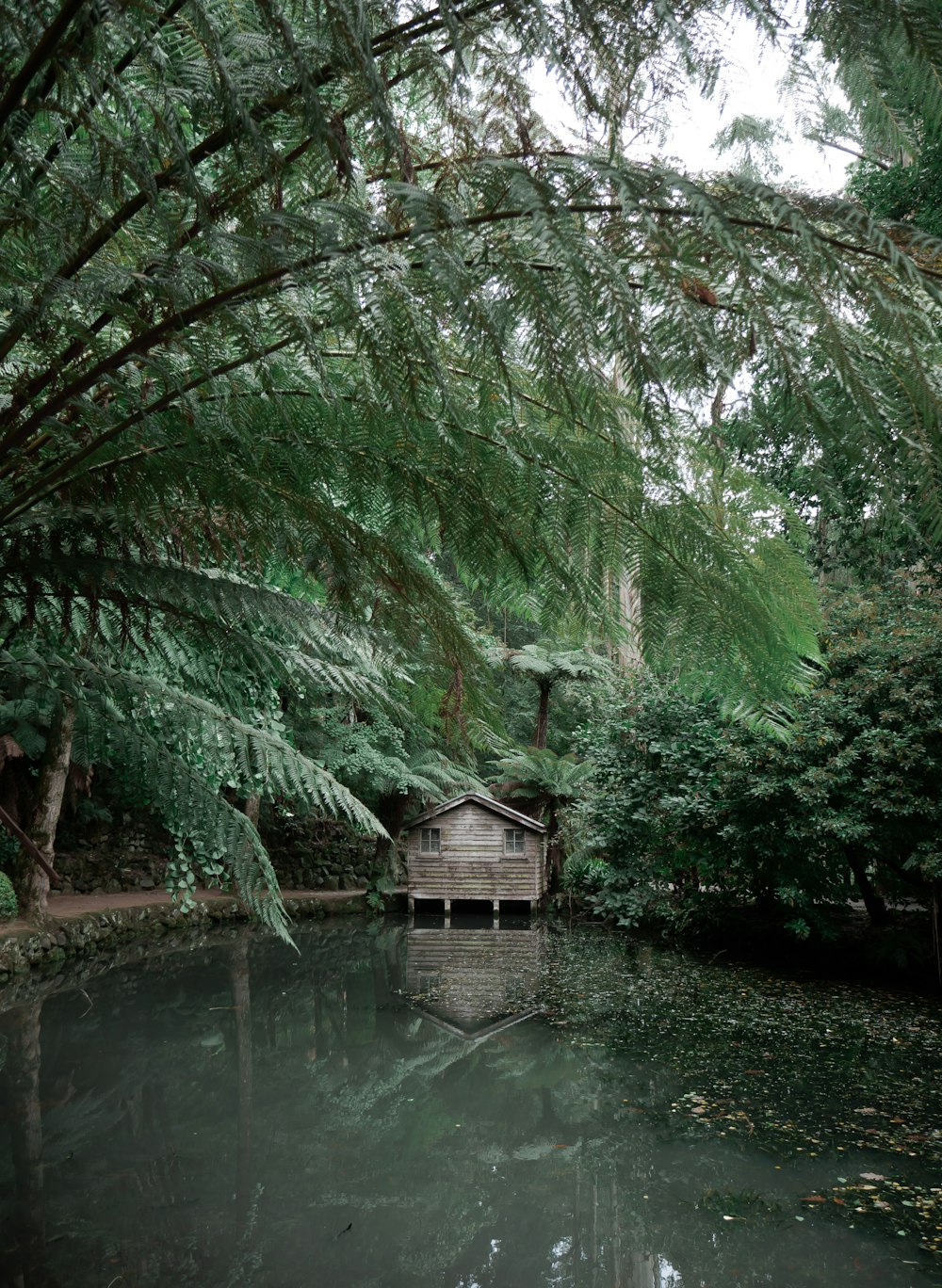 brown wooden house on river