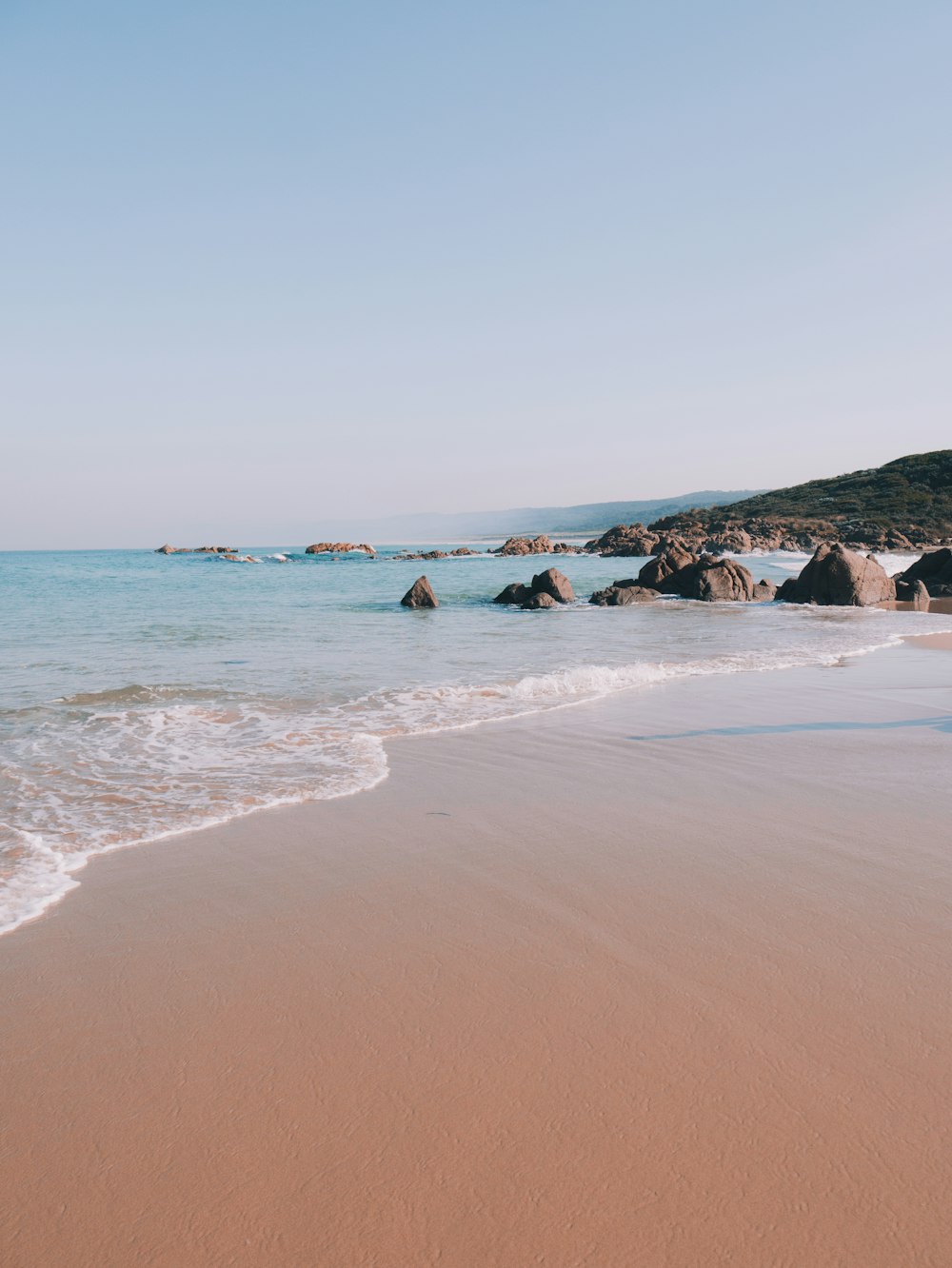 people on beach during daytime