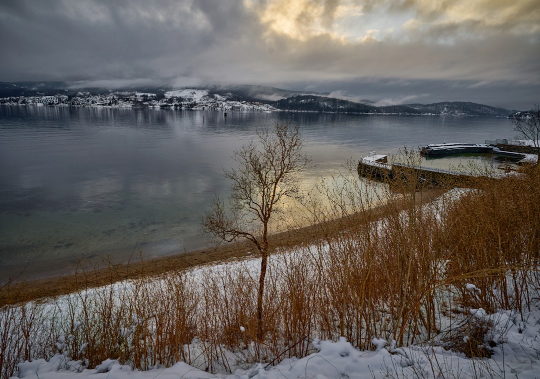 white and black ship on body of water under cloudy sky during daytime