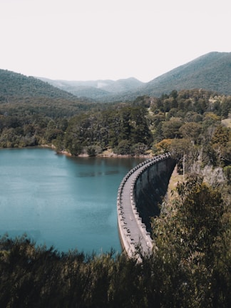 A stunning view of a hydroelectric dam surrounded by lush greenery.
