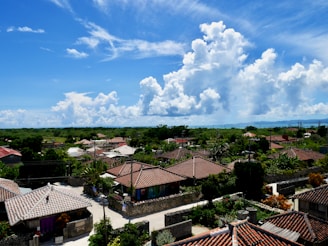 A vibrant village scene showing traditional houses and green fields under a clear blue sky.