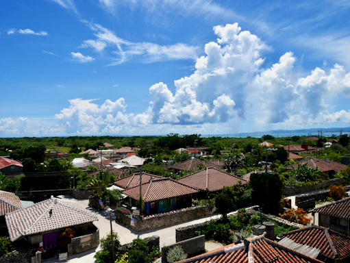 A cozy village street in Auroville with lush greenery and traditional houses under a clear sky.