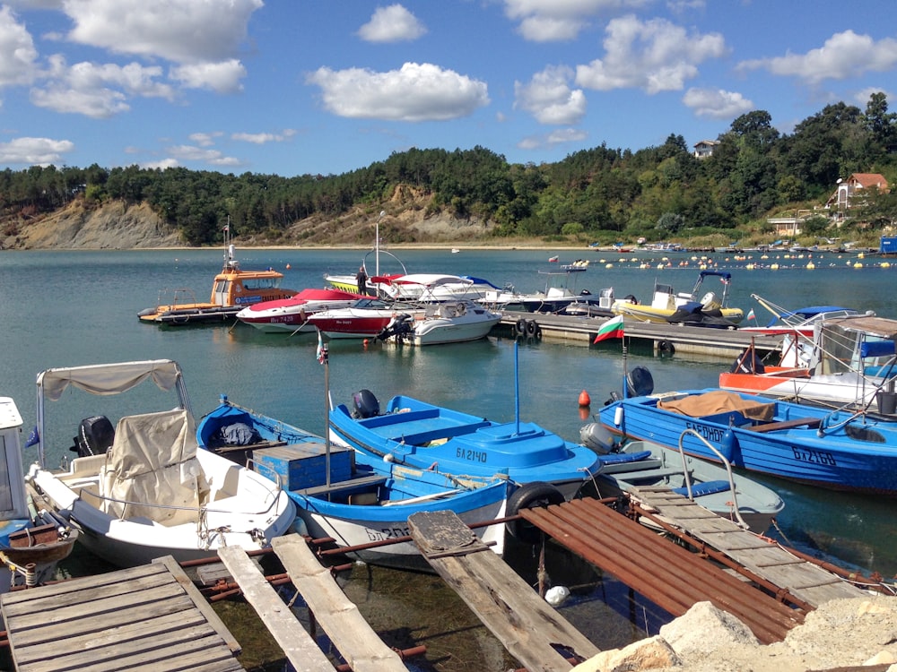 white and blue boats on dock during daytime