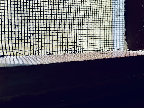 A close-up view of a wire mesh screen with a slightly blurred background. The mesh is dark and contrasts against the lighter background, which appears to be an out-of-focus exterior or natural light source. The image captures the grid-like pattern and the texture of the mesh.