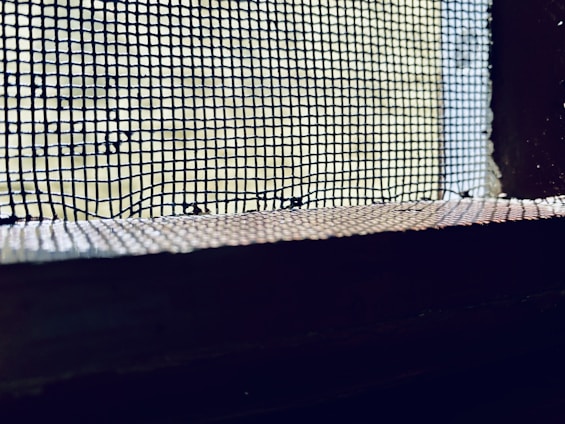 A close-up view of a wire mesh screen with a slightly blurred background. The mesh is dark and contrasts against the lighter background, which appears to be an out-of-focus exterior or natural light source. The image captures the grid-like pattern and the texture of the mesh.