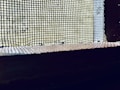 A close-up view of a wire mesh screen with a slightly blurred background. The mesh is dark and contrasts against the lighter background, which appears to be an out-of-focus exterior or natural light source. The image captures the grid-like pattern and the texture of the mesh.