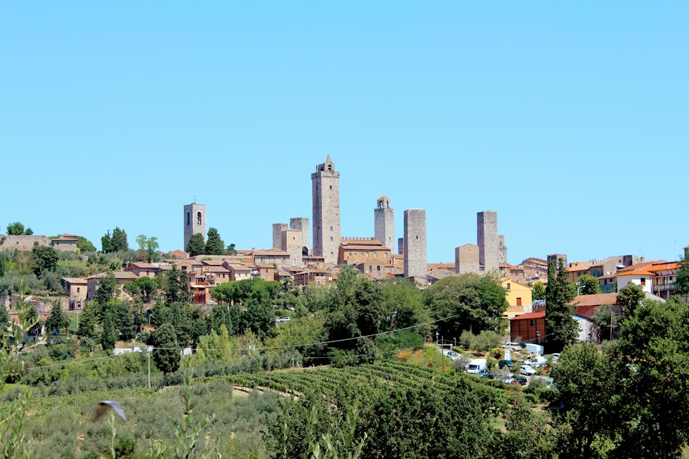 alberi verdi vicino agli edifici della città durante il giorno