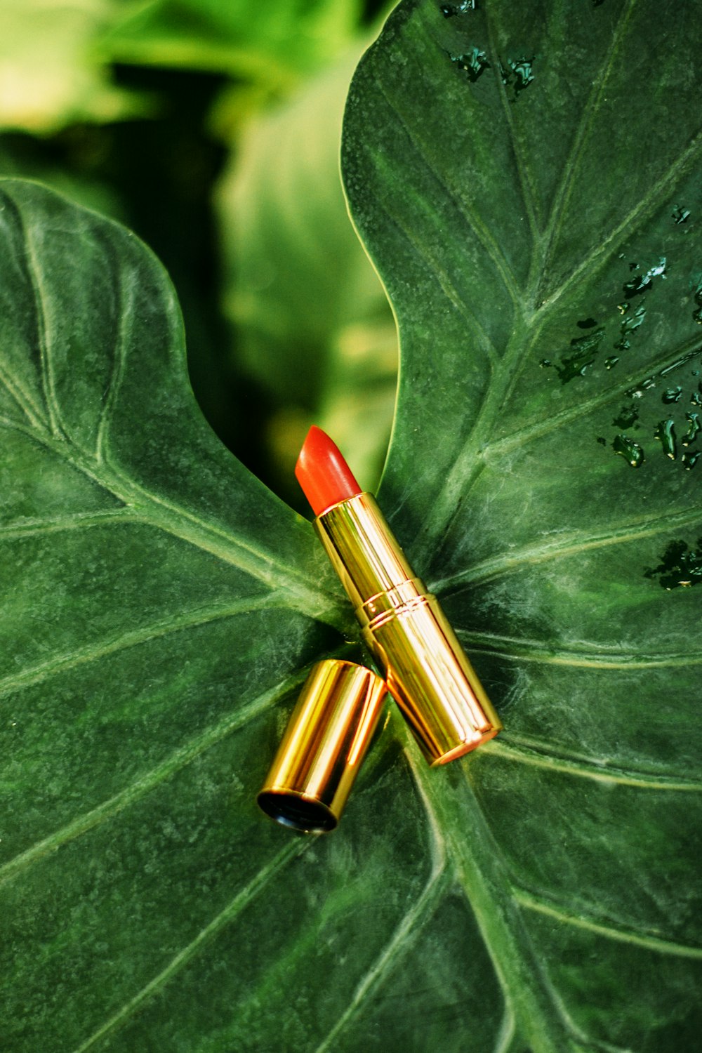 red lipstick on green leaf
