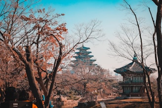 South Korea on a holiday planned by Francesco Margaretini Luxury Travel Villas Weddings Honeymoon