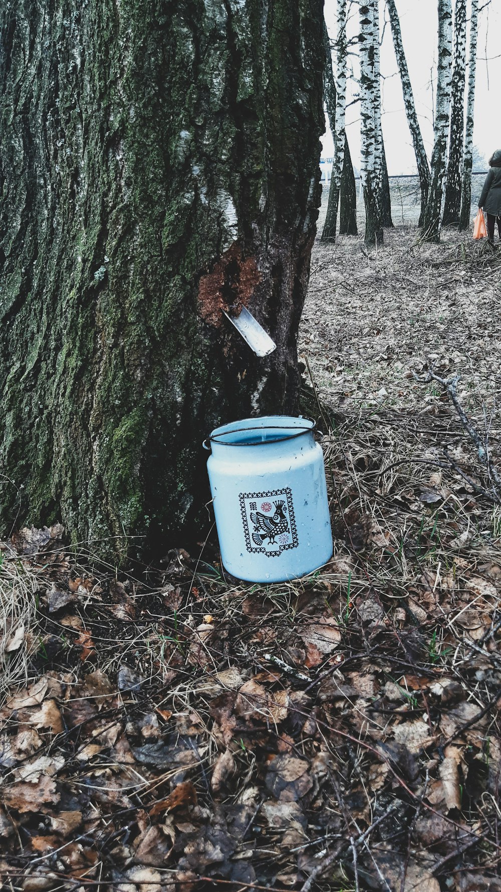 white plastic bucket near brown tree