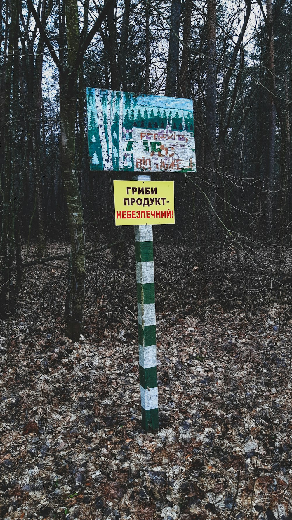 green and white wooden signage