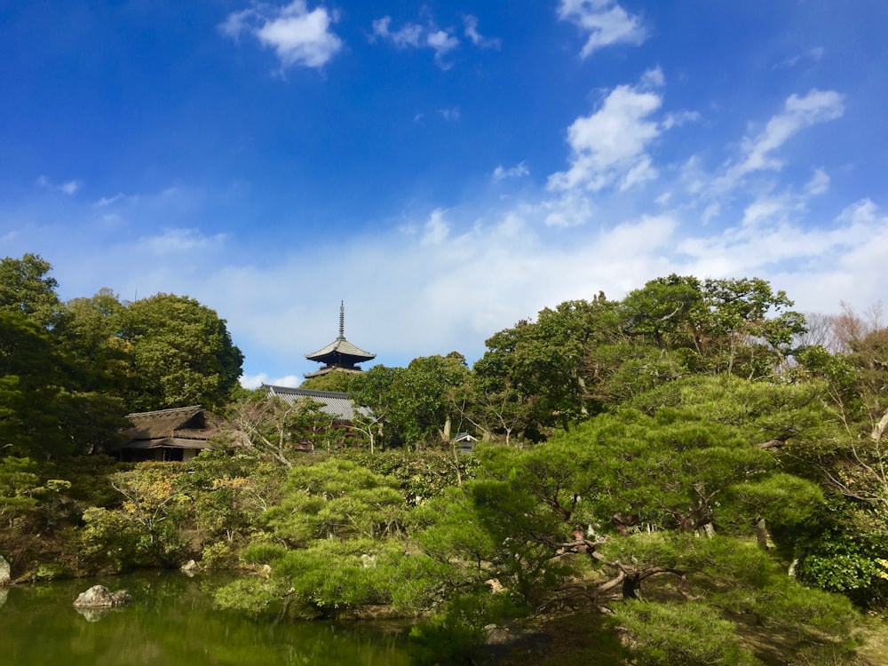 green trees near lake under blue sky during daytime