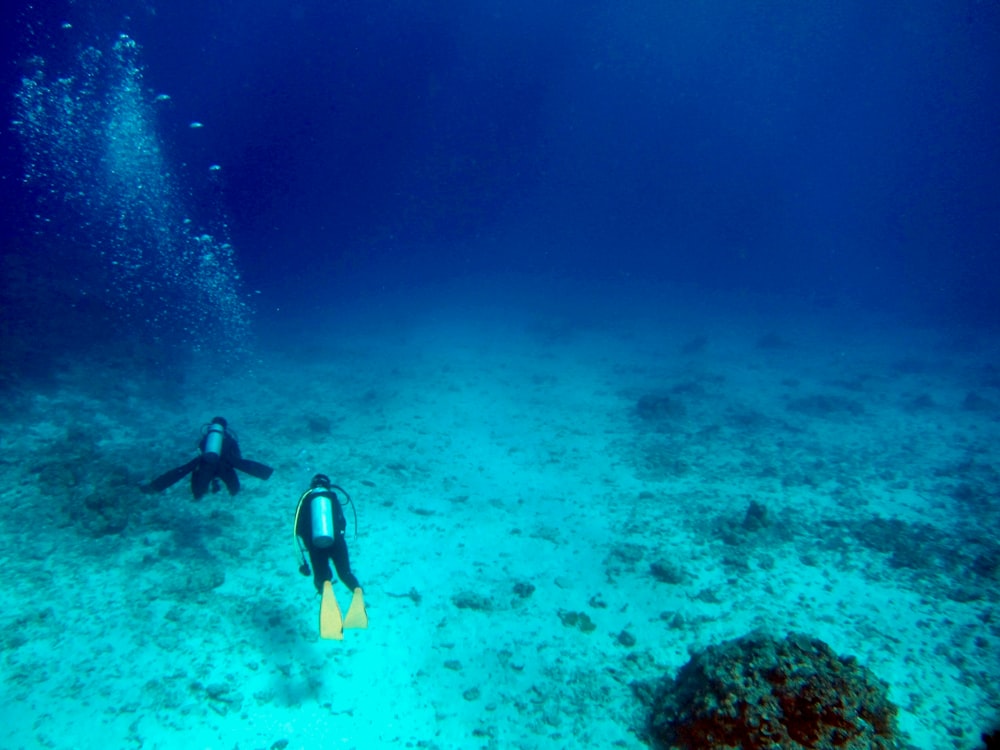 person in black and white suit under water