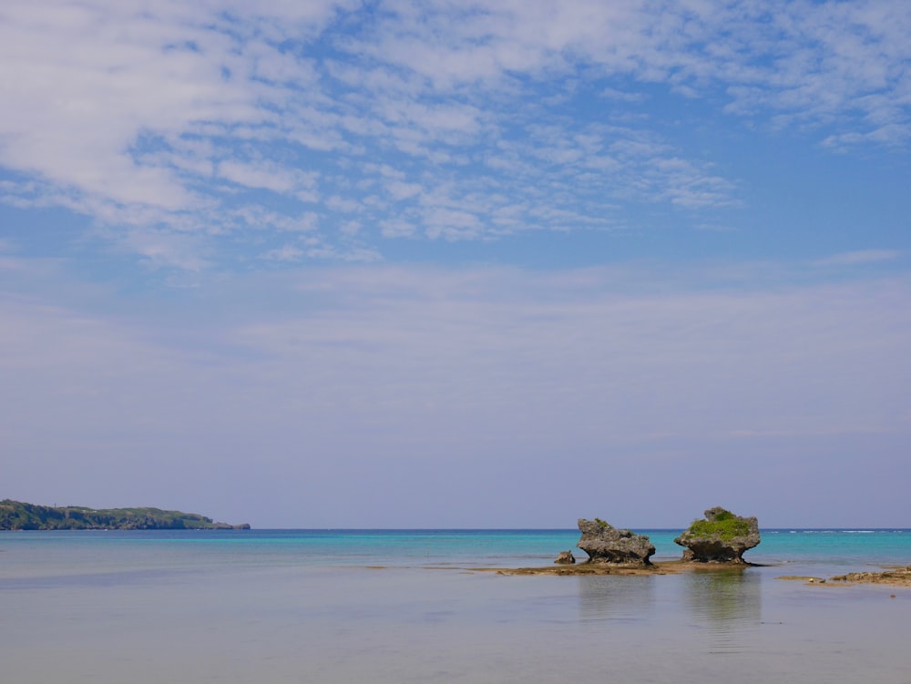 green trees on island surrounded by water under blue sky during daytime