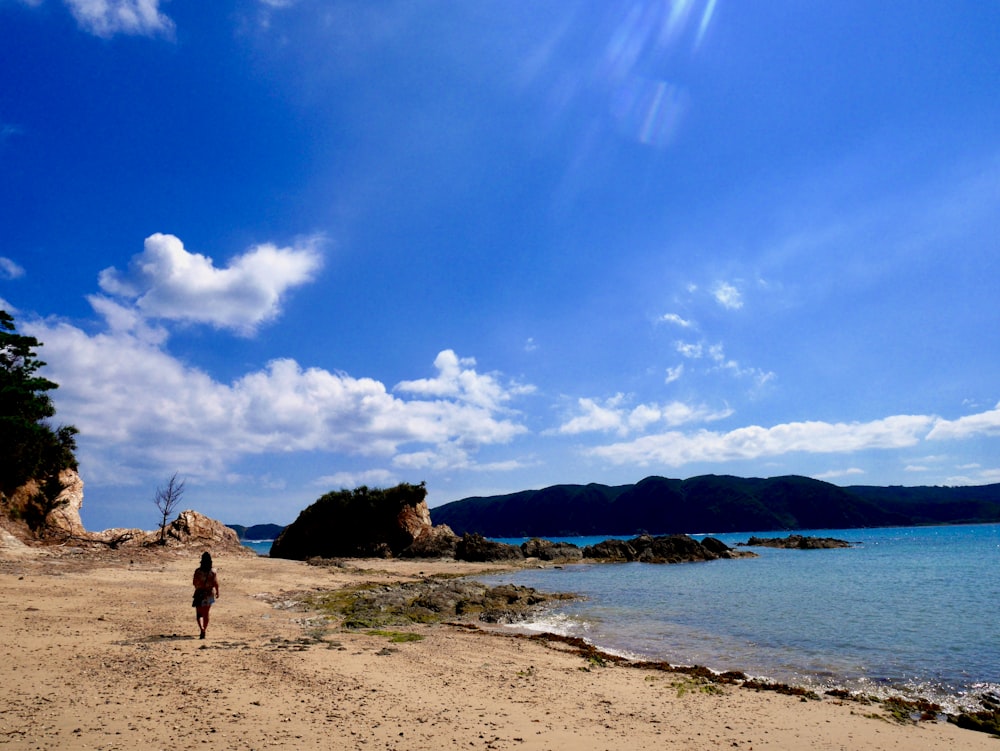 person standing on beach shore during daytime