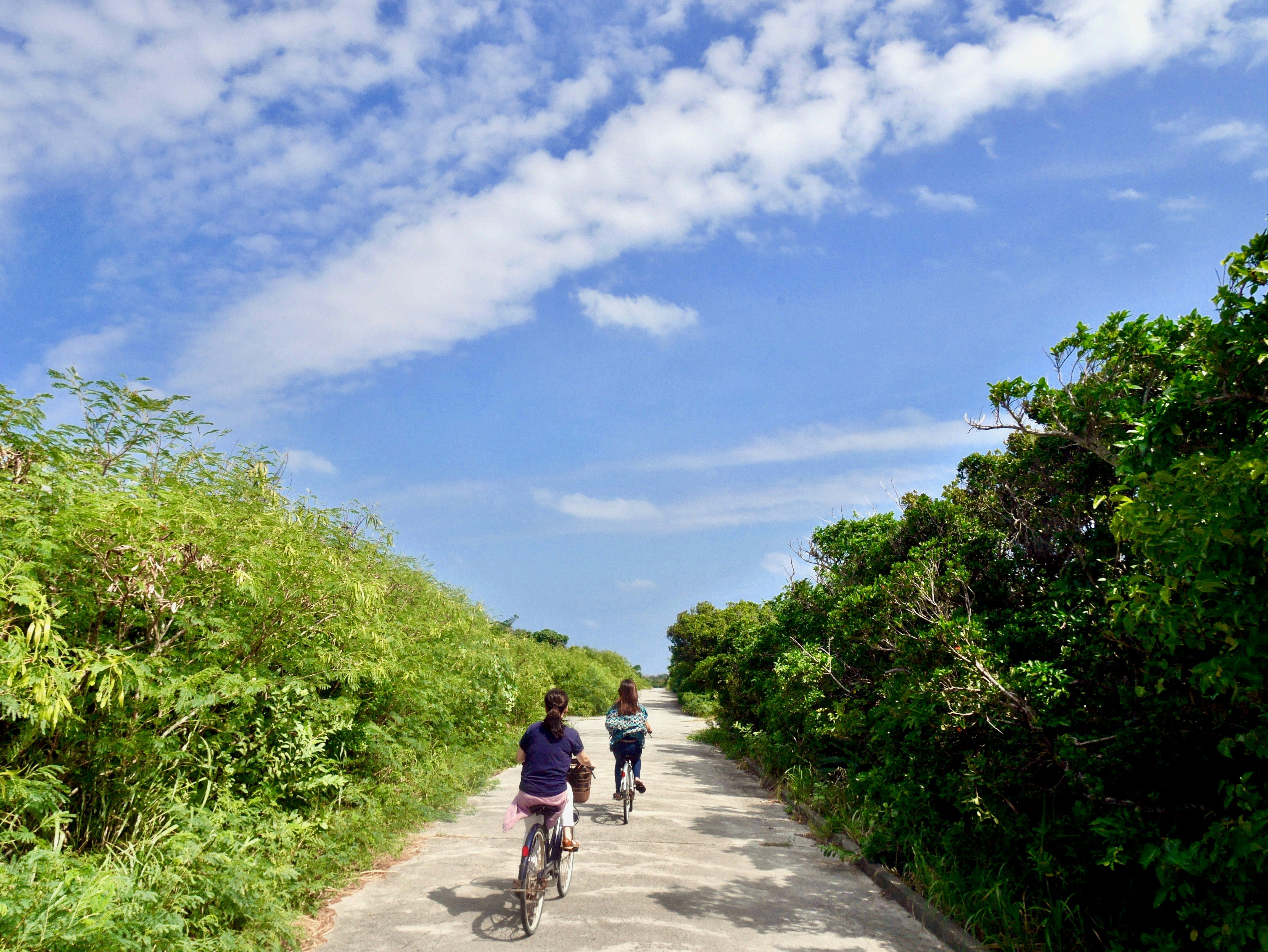 2 men riding bicycle on road during daytime