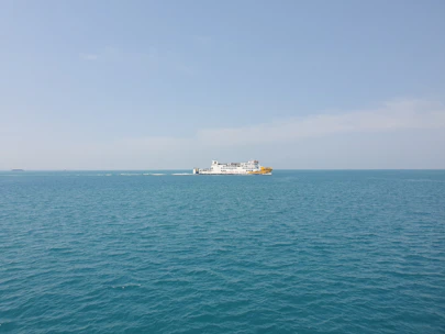 A vibrant ferry sailing across a calm blue sea under a clear sky.