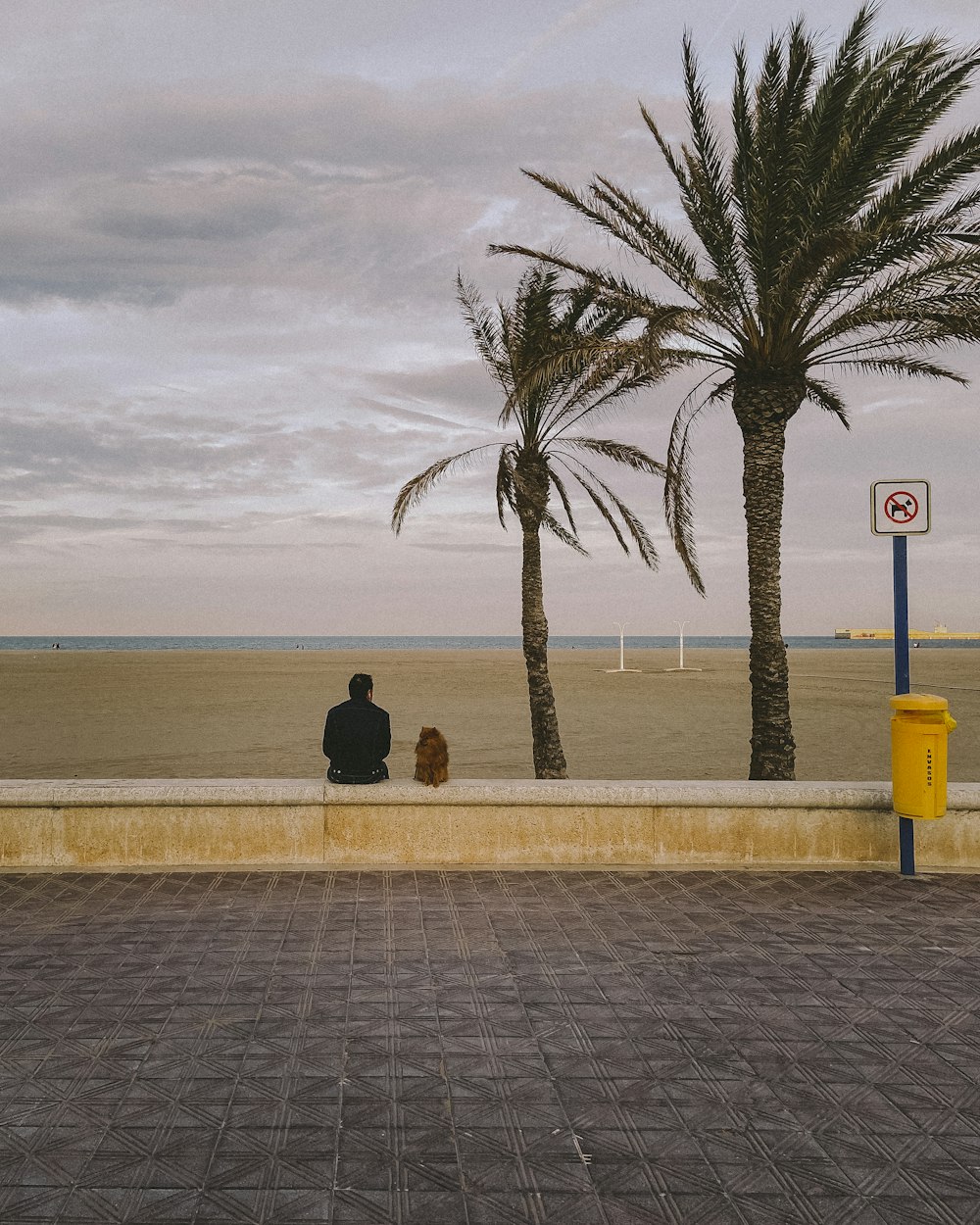 昼間、水辺の黄色いベンチに座る黒いジャケットを着た男性