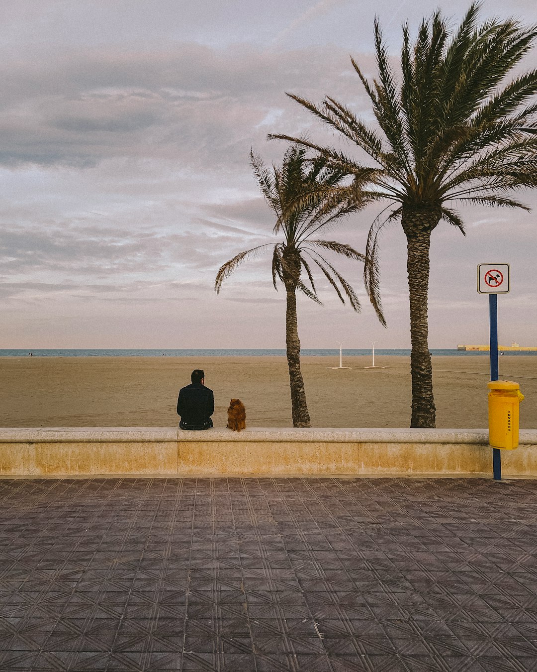 man in black jacket sitting on yellow bench near body of water during daytime
