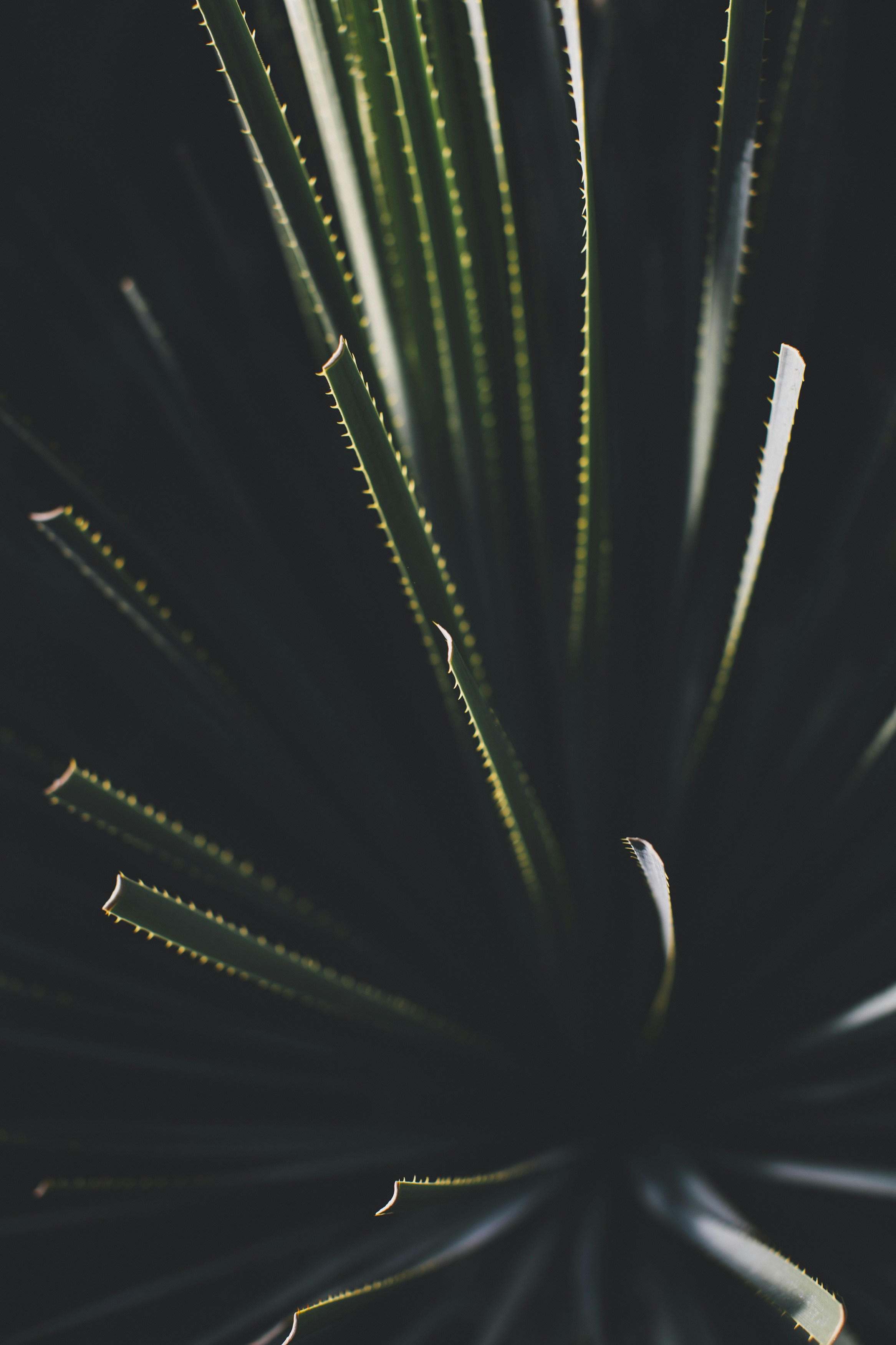 Photo by markusspiske