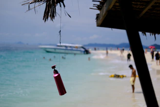 A serene island scene with palm trees swaying and a Jambucha bottle resting on a colorful beach towel beside a sunhat.