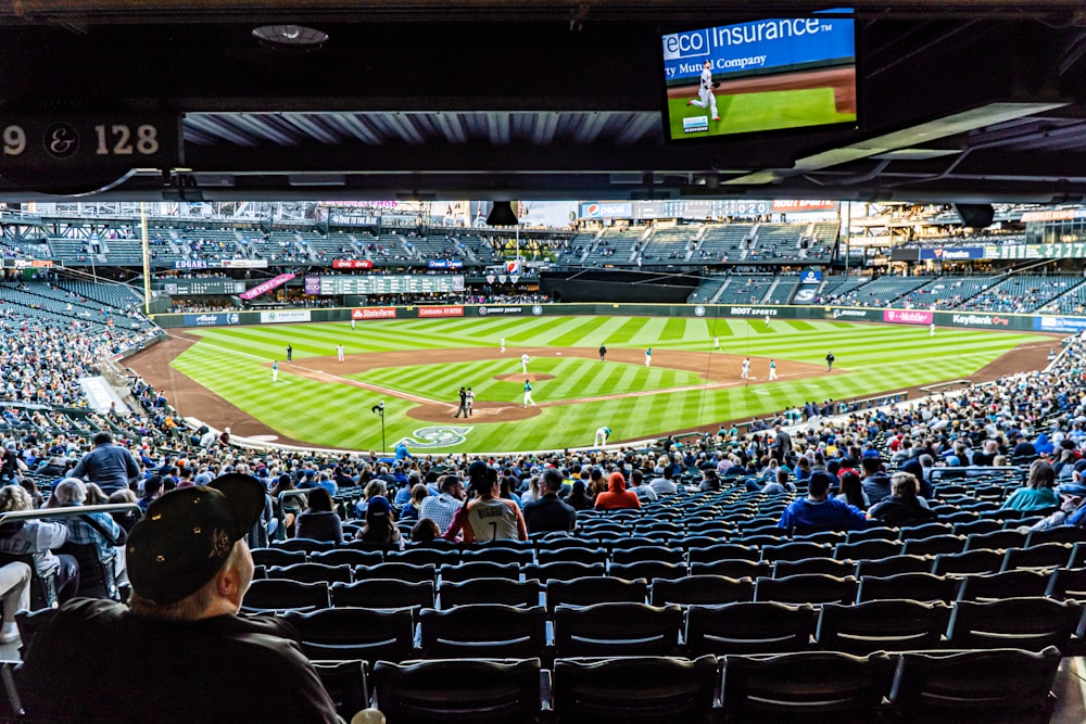 people watching baseball game during daytime