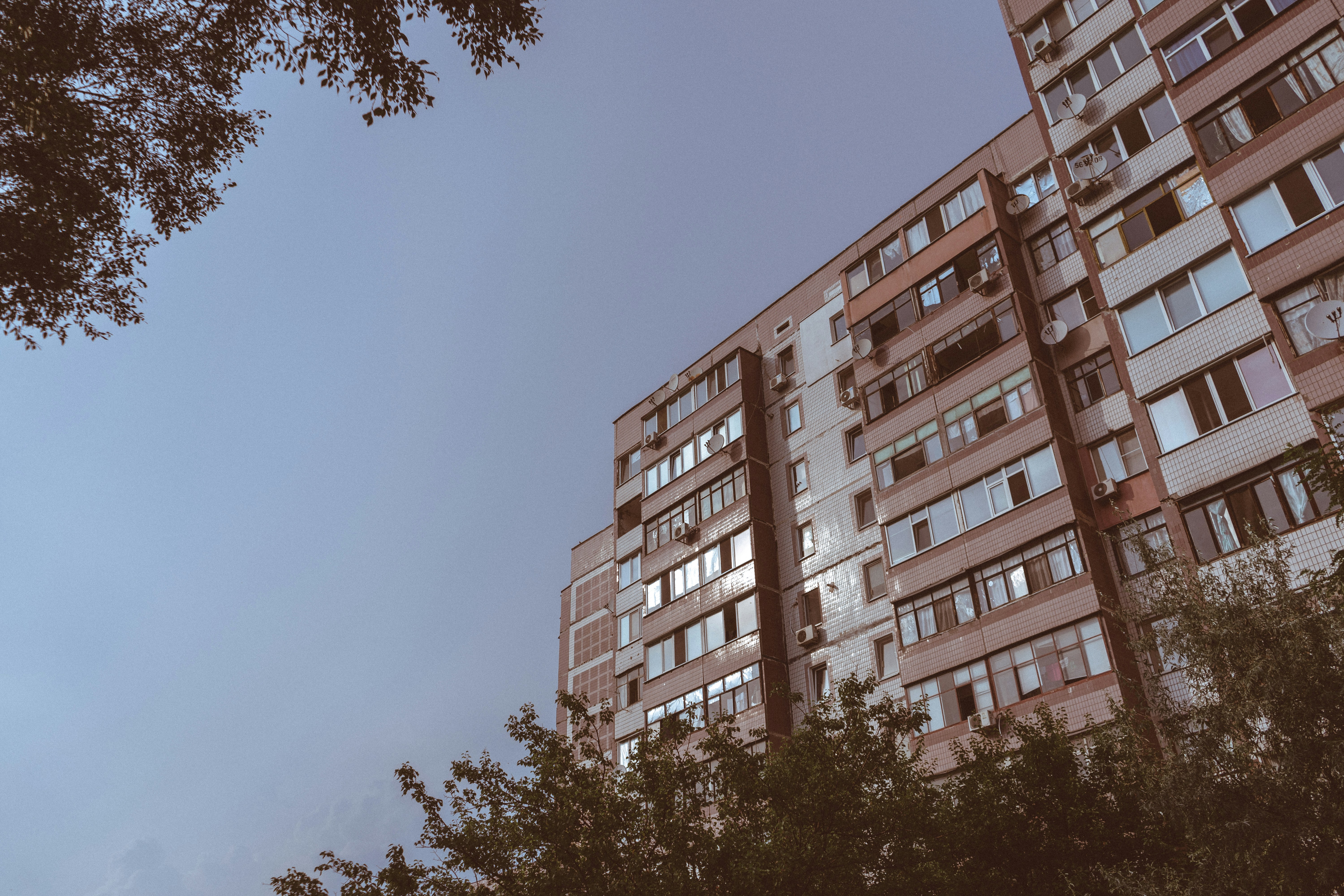 Photo by virussinside