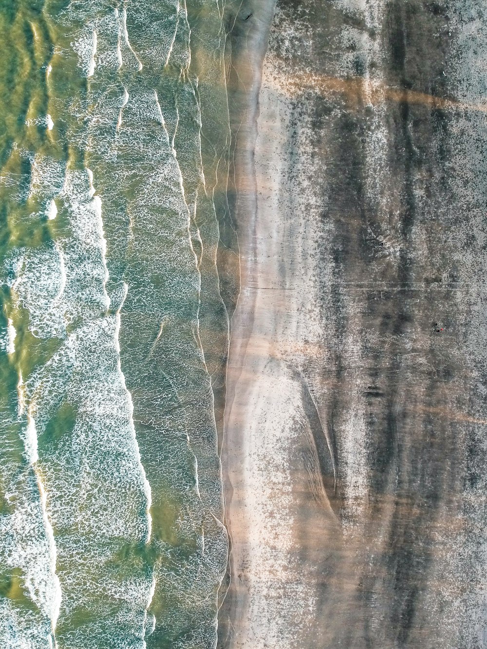 erba verde e roccia grigia