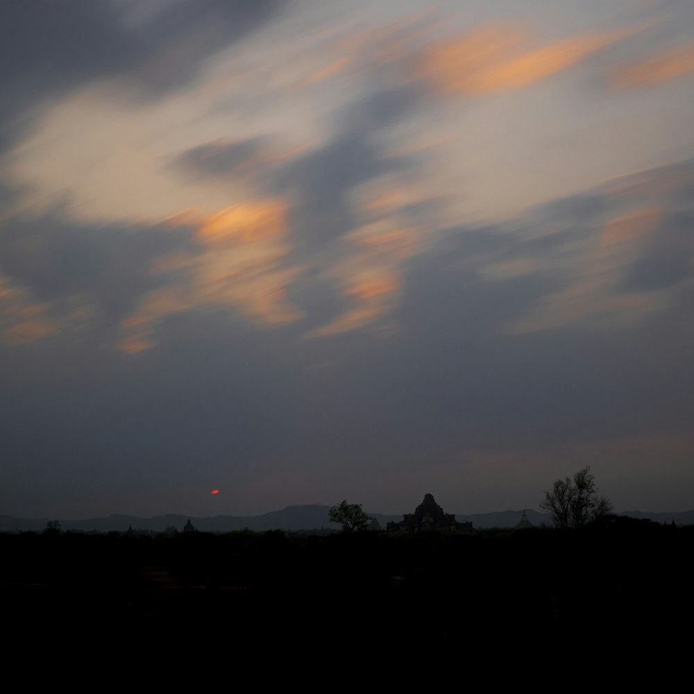 silhouette of trees during sunset