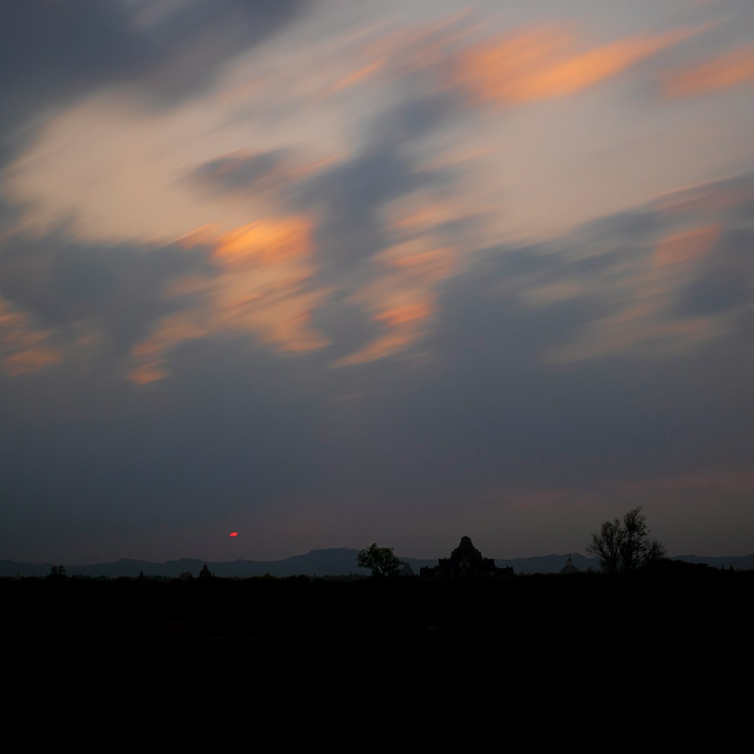 silhouette of trees during sunset