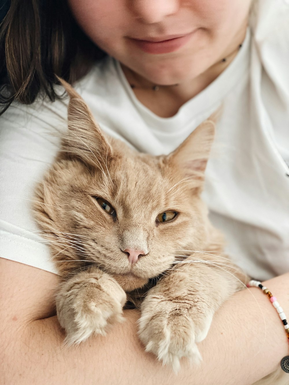 woman in white tank top holding orange tabby cat