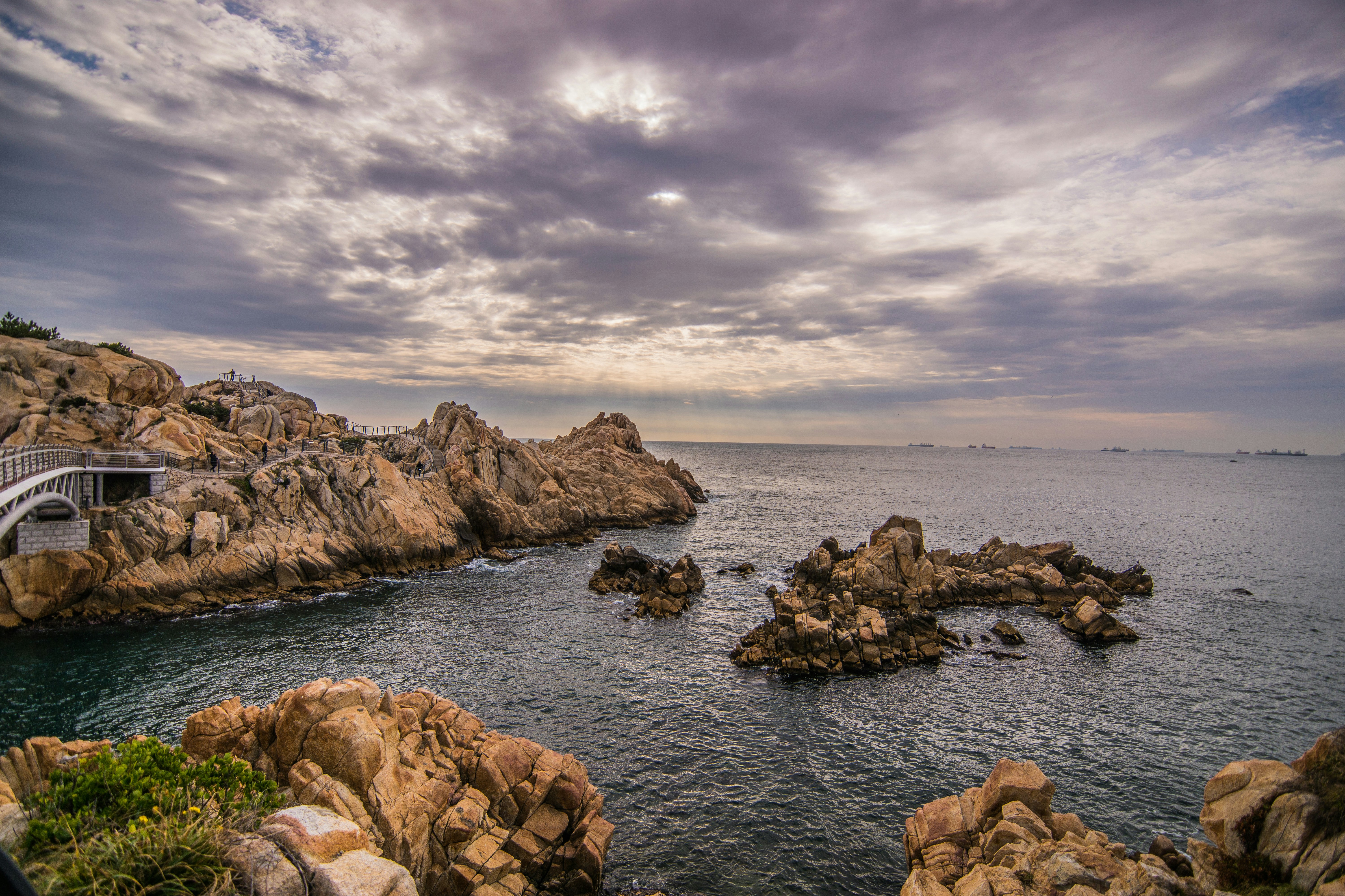 Photo by tropical_fruit_flavor