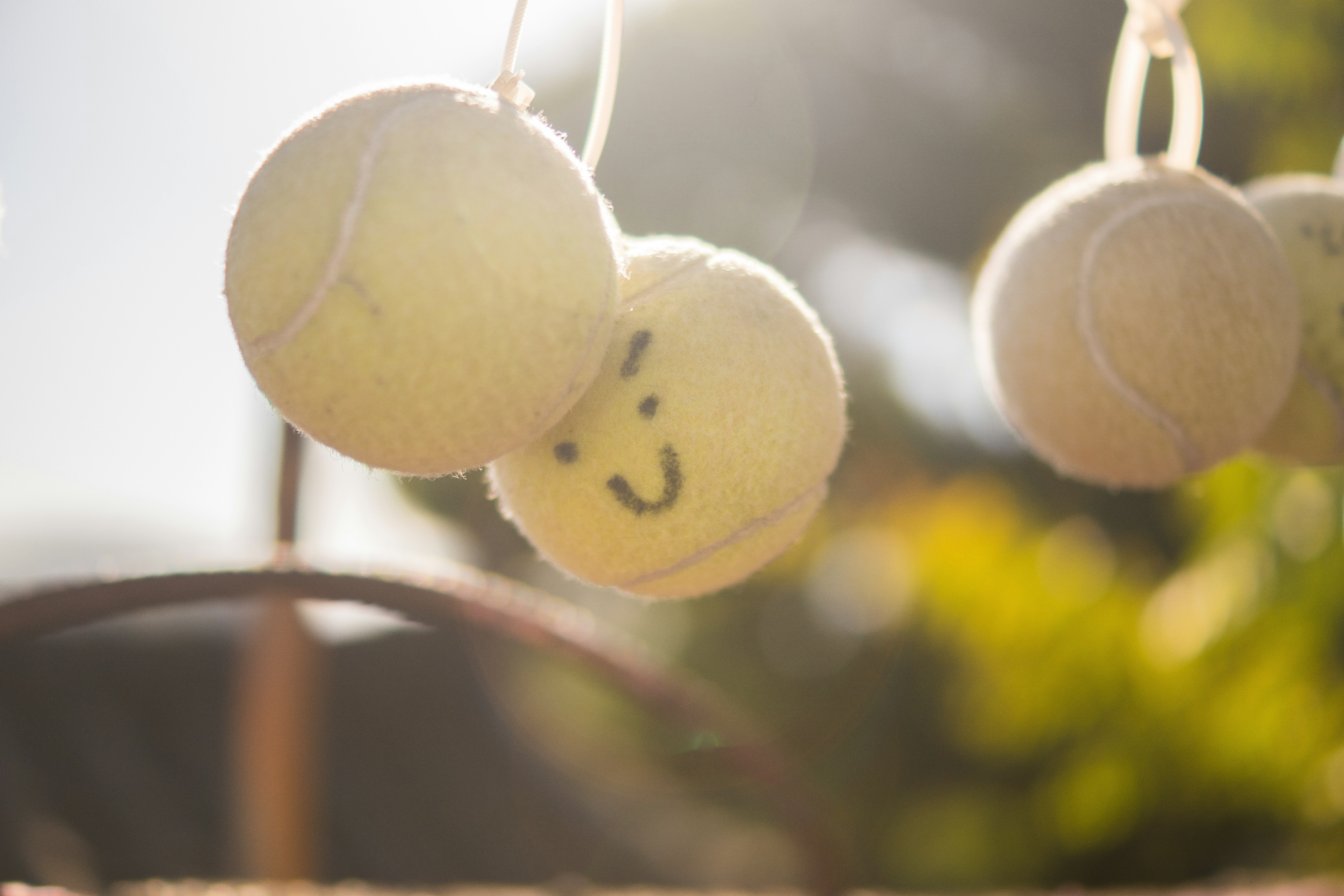 Photo by tropical_fruit_flavor