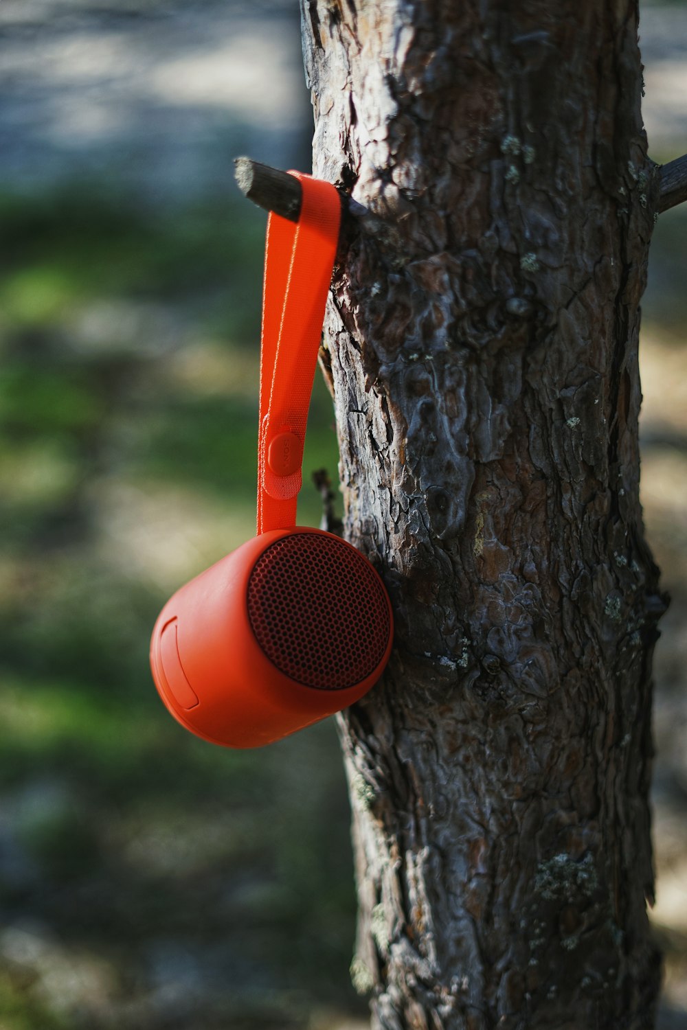 orange and black plastic watering can hanging on brown tree during daytime